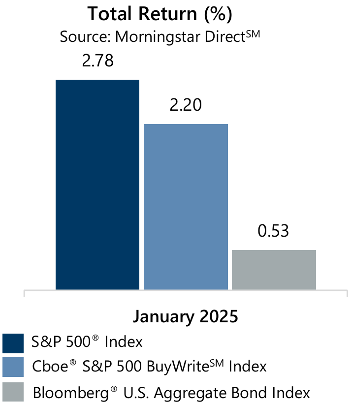 January 2025 Market Recap