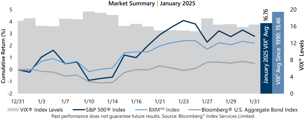 January 2025 Market Recap