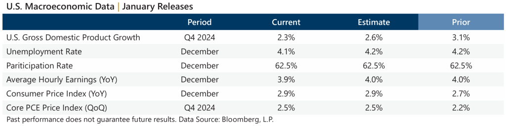 January 2025 Market Recap